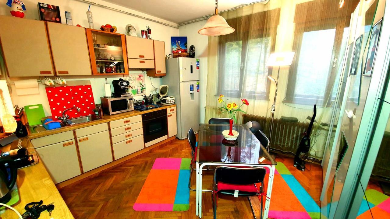 Vila Paul Best Paronamic View Over Medieval Historical Centre 布拉索夫 外观 照片
